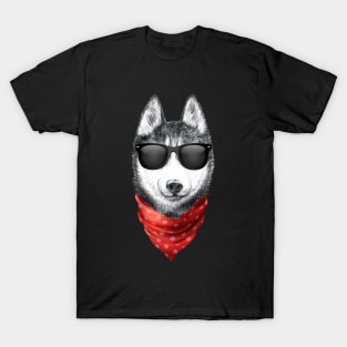 Siberian Husky Shirt with Sunglasses T-Shirt